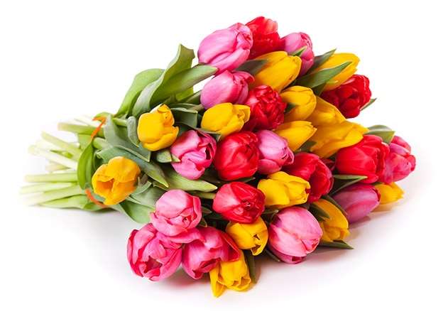 Blomsterbuket med tulipaner